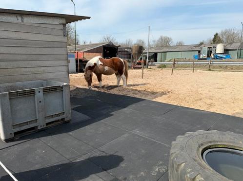 Rubber -Terras / stal / paddock tegels - matten, Dieren en Toebehoren, Stalling en Weidegang, Toebehoren, 1 paard of pony