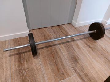 Barbell / Halterstang  beschikbaar voor biedingen