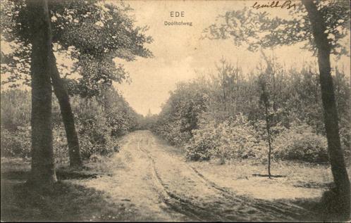 Ede Doolhofweg st 1906, Verzamelen, Ansichtkaarten | Nederland, Gelopen, Gelderland, Voor 1920, Verzenden