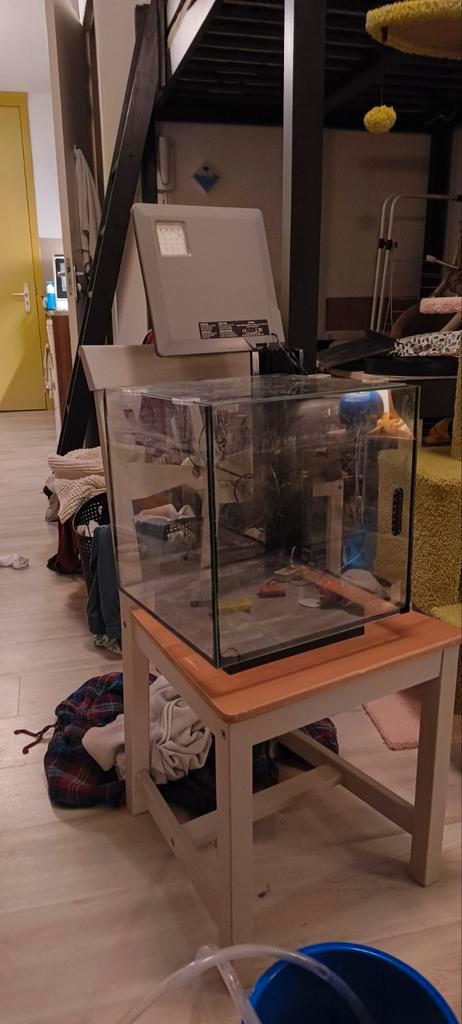 Superfish qubic pro 30L zwart met spullen, Dieren en Toebehoren, Vissen | Aquaria en Toebehoren, Leeg aquarium, Ophalen