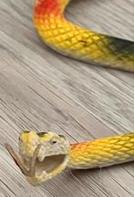 Mooie vrolijke en gekleurde speelgoed slang, Verzamelen, Dierenverzamelingen, Ophalen of Verzenden, Gebruikt, Reptiel of Amfibie