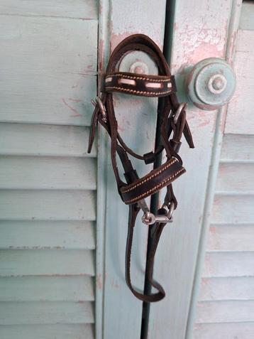 Miniatuur hoofdstel spiegelhanger beschikbaar voor biedingen