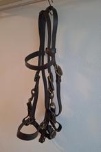 Halster hoofdstel, Ophalen of Verzenden, Gebruikt, Overige soorten