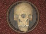 Vergroeide Tweeling Schedel REPLICA unieke Skull op Wandbord, Verzamelen, Overige Verzamelen, Nieuw, Ophalen of Verzenden, Rariteitenkabinet vintage freakshow escaperoom horror apotheek