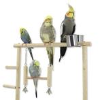 Vogel - Speelstandaard /  Papegaai -Speelstandaard, Papegaai