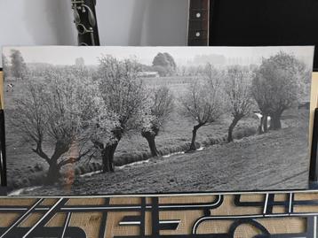 Antieke 60S Wedstrijdfoto in zwart / wit op karton €15 beschikbaar voor biedingen