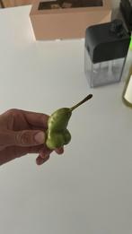 Peer in bijzondere vorm, Overige soorten