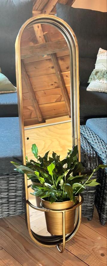 Ovale Spiegel Goud/Brons met Plantenhouder beschikbaar voor biedingen