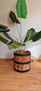 Kunstplant in Houten Pot, Huis en Inrichting, Ophalen