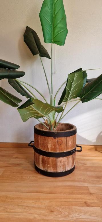 Kunstplant in Houten Pot beschikbaar voor biedingen