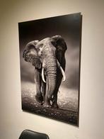 Schilderij olifant, Ophalen, Zo goed als nieuw, Schilderij, 75 cm of meer