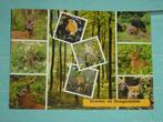 16) Kleuren ansichtkaart Hoogersmilde, Verzamelen, Ansichtkaarten | Nederland, Verzenden, 1960 tot 1980, Gelopen, Drenthe