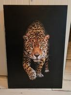 Canvas zwart Panter, Huis en Inrichting, Ophalen, Zo goed als nieuw, Schilderij, 75 cm of meer