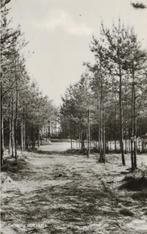 056 Bosschenhoofd Camping Hoeven 1964 gelopen, Verzamelen, Ophalen of Verzenden, 1960 tot 1980, Gelopen, Noord-Brabant