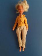 vintage anna moore pop pedigree barbie sindy, Ophalen of Verzenden, Gebruikt, Pop