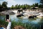 2entreetickets Wildlands adventure zoo, Tickets en Kaartjes, Twee personen, Ticket of Toegangskaart
