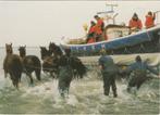 AMELAND Reddingsboot met Paarden, Verzamelen, Ansichtkaarten | Nederland, Gelopen, Waddeneilanden, Verzenden, 1980 tot heden