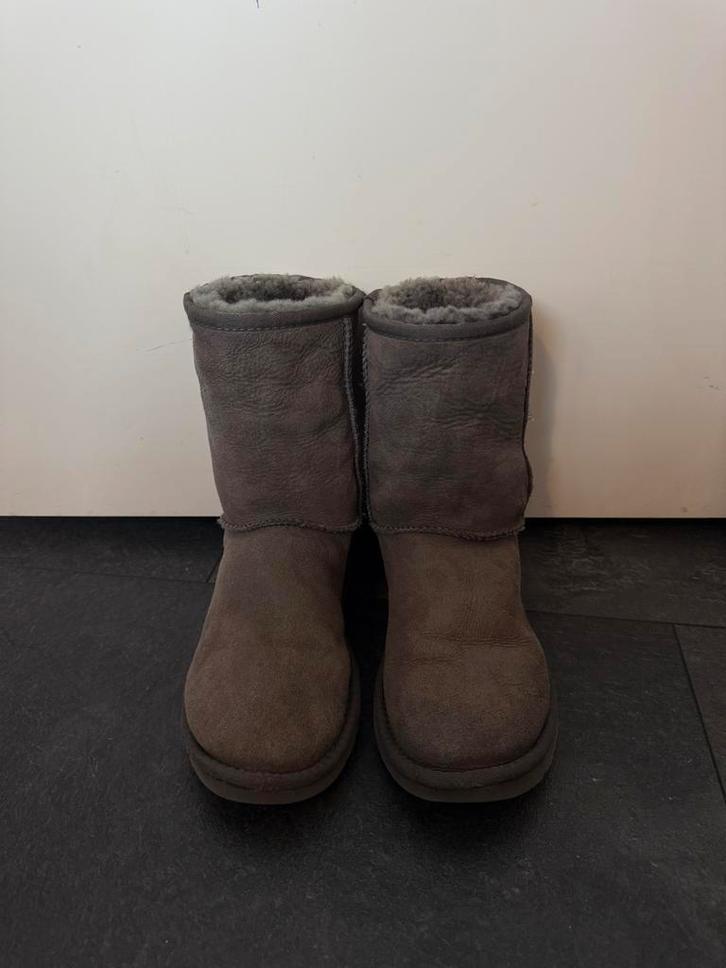 Ugg Classic Short - Maat 36 - Grijs, Kleding | Dames, Schoenen, Zo goed als nieuw, Lage of Enkellaarzen, Grijs, Ophalen
