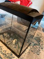 Leuk klein aquarium, Ophalen, Leeg aquarium