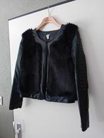 Stoer jasje maat 36 S, Kleding | Dames, Ophalen of Verzenden, Zo goed als nieuw, Maat 36 (S)