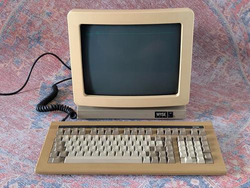 WYSE WY-50 Terminal – Werkend + origineel toetsenbord, Computers en Software, Vintage Computers, Ophalen