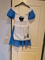 Te koop: Het kostuum van Alice in Wonderland maat L, Kleding | Dames, Carnaval, Maat 42/44 (L), Ophalen of Verzenden, Zo goed als nieuw