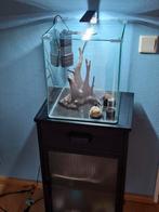 Dennerle Cube - 30 liter, Dieren en Toebehoren, Vissen | Aquaria en Toebehoren, Ophalen, Zo goed als nieuw, Leeg aquarium