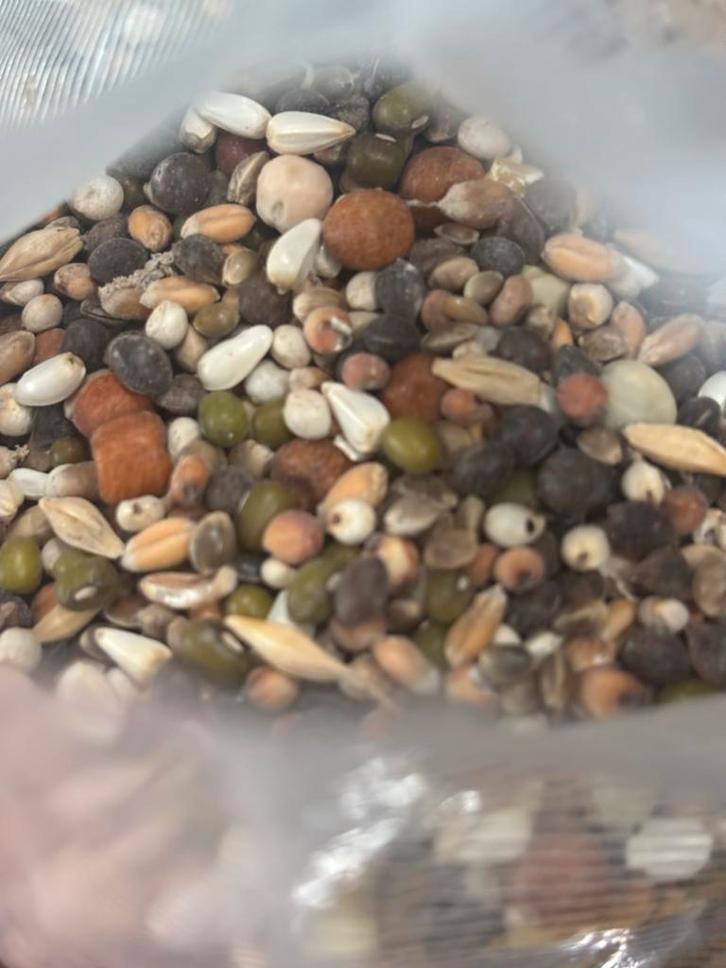 Grof kiemzaad (B keus), Dieren en Toebehoren, Dierenvoeding, Vogel, Ophalen of Verzenden