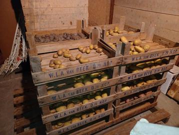 Biologische aardappelen beschikbaar voor biedingen