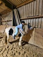 Verzorgponys aangeboden / verzorgers gezocht, Dieren en Toebehoren, Paarden en Pony's | Overige Paardenspullen, Ophalen, Zo goed als nieuw