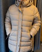 Windfield nieuwe winterjas maat 46, Windfield, Windfield, Beige, Maat 46/48 (XL) of groter