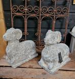 Stenen ram, Ophalen of Verzenden, Nieuw, Dier