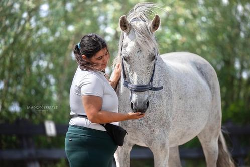 Verzorger gezocht, Dieren en Toebehoren, Paarden en Pony's | Overige Paardenspullen, Nieuw, Overige soorten, Ophalen of Verzenden