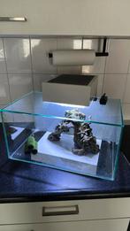 Fluval Edge I 2.0| 23L | 43 x 26 x 36,8CM Aquarium, Dieren en Toebehoren, Vissen | Aquaria en Toebehoren, Ophalen of Verzenden