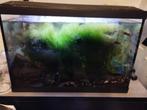 Superfish Start 50 (55.5x32x38.5)cm, Dieren en Toebehoren, Vissen | Aquaria en Toebehoren, Ophalen, Gebruikt, Gevuld zoetwateraquarium