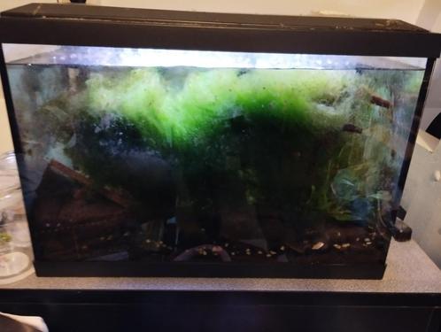 Superfish Start 50 (55.5x32x38.5)cm, Dieren en Toebehoren, Vissen | Aquaria en Toebehoren, Gebruikt, Gevuld zoetwateraquarium