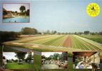 Camping Het Hof, Wijdenes - 5 afb - 1996 gelopen, Ophalen of Verzenden, Voor 1920, Gelopen, Noord-Brabant