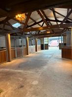 Gezocht!! Stalhulp 1/2 keer per week, Dieren en Toebehoren, Stalling en Weidegang, Stalling, 4 paarden of pony's of meer