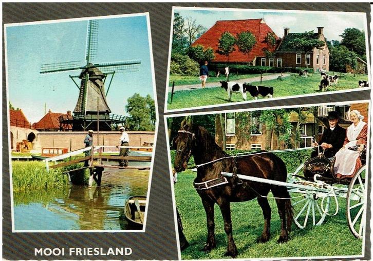 Ansichtkaart "Mooi Friesland", molen, klederdracht, Verzamelen, Ansichtkaarten | Nederland, Gelopen, Friesland, 1960 tot 1980