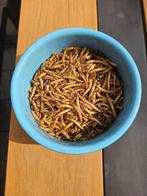 Meelwormen, Ophalen of Verzenden