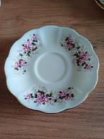 Royal Ascot Society Rose schotel, Ophalen of Verzenden