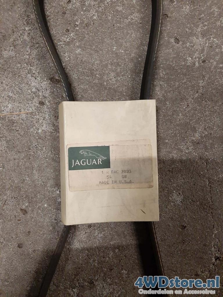 Jaguar XJ6 XJ12 - Verschillende V-snaren, -, -, Nieuw, Ophalen of Verzenden