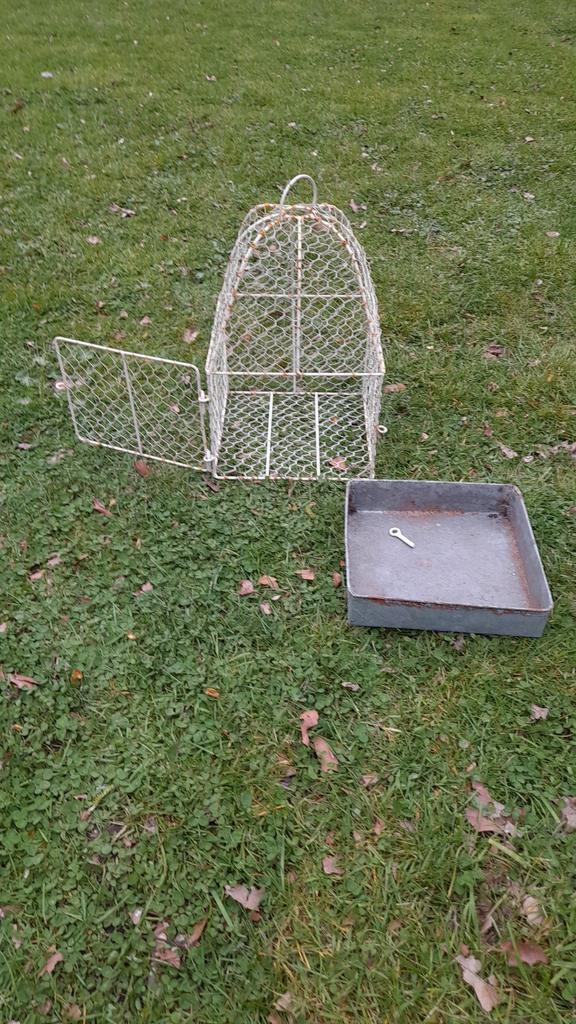 Brocante oude VOGELKOOI voor decoratie + gratis dennenappels, Dieren en Toebehoren, Vogels | Hokken en Kooien, Vogelkooi, Metaal