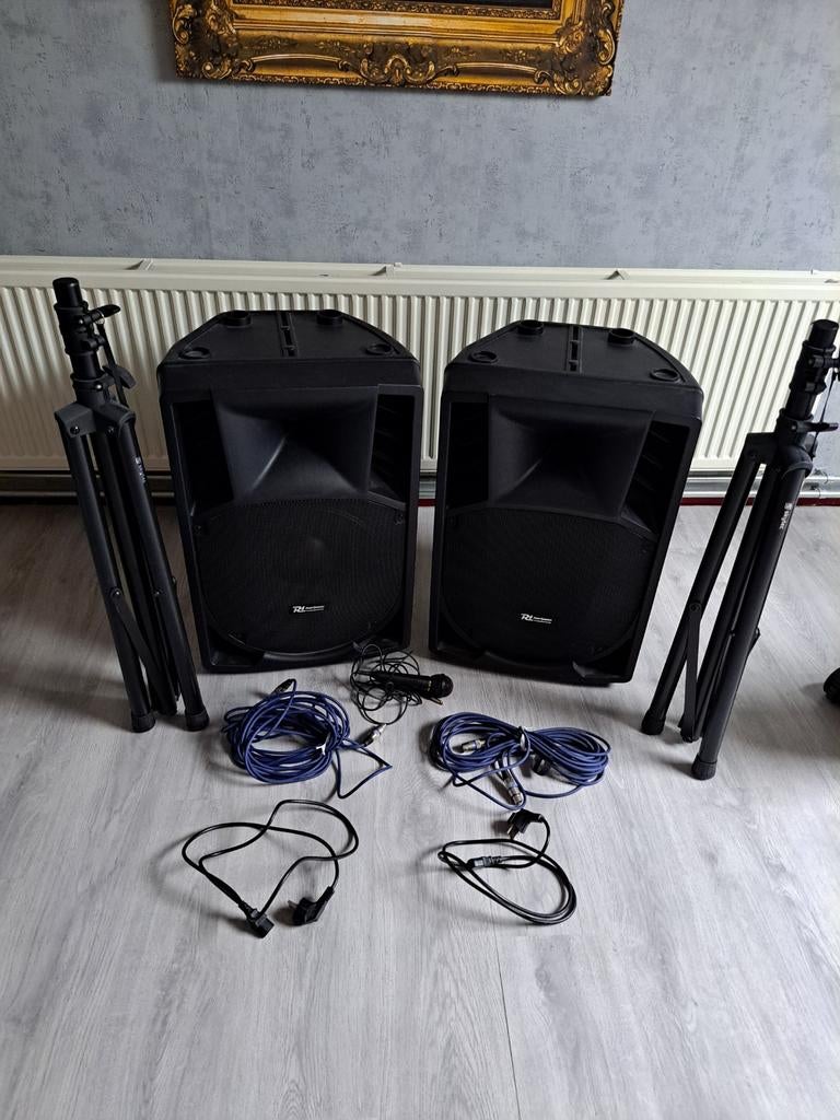 RI Power Dynamics Professionele Audio Set 500W Actief, Audio, Tv en Foto, Luidsprekers, Ophalen