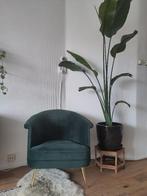 Gratis: velvet groene stoel/fauteuil. Moet snel weg!, Ophalen, Zo goed als nieuw, 75 tot 100 cm, 50 tot 75 cm