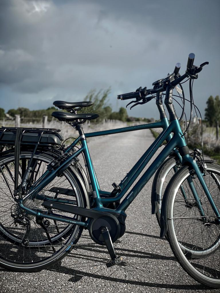 AANBIEDING! Koga e-Inspire 400wh activeline plus Bosch, Fietsen en Brommers, Elektrische fietsen, Niet ingevuld, Nieuw, Ophalen of Verzenden