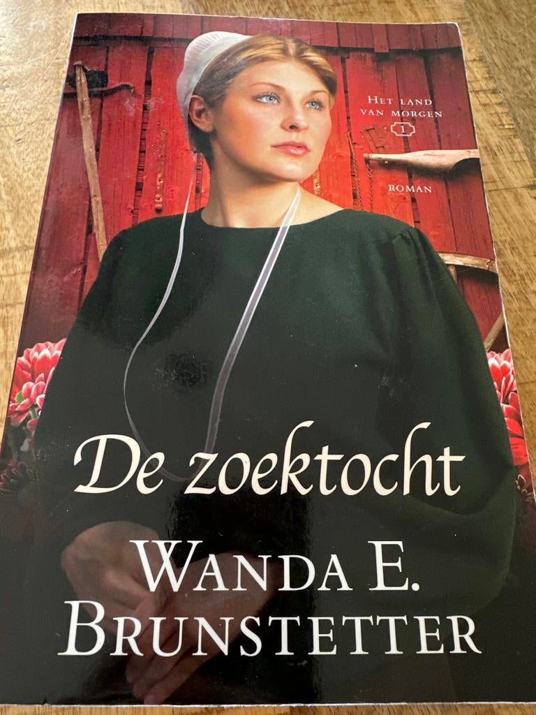 De zoektocht - Wanda E. Brunstetter (Amish roman), Ophalen of Verzenden, Gelezen, Amerika