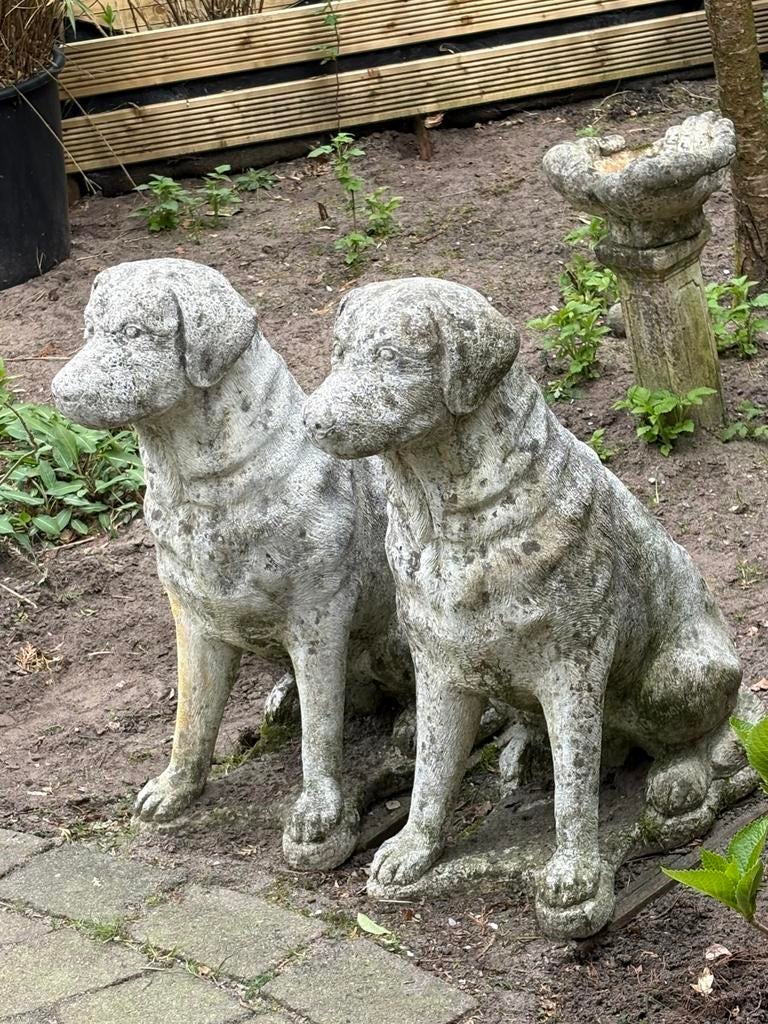 Twee Labrador-Retrievers Betonnen Tuinbeelden 74 cm, Tuin en Terras, Ophalen, Gebruikt, Beton, Dierenbeeld