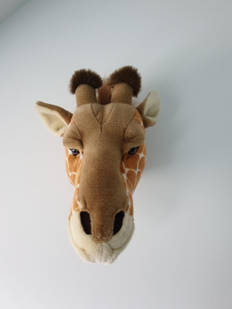 Dierenkoppen pluchen, Ophalen of Verzenden