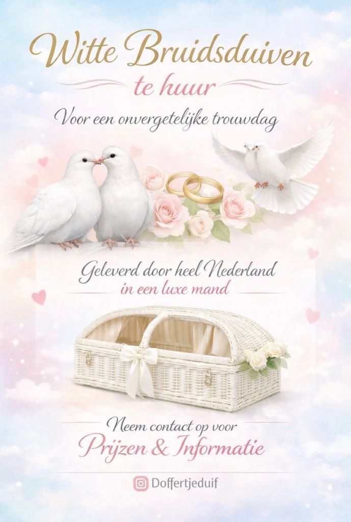 Trouwduiven te huur, Meerdere dieren, Postduif